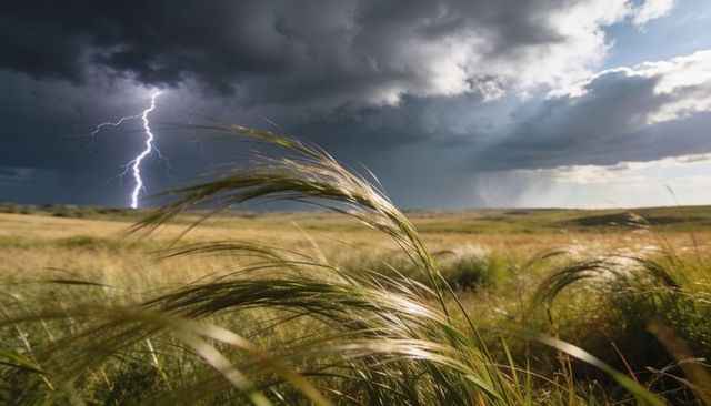 Lightning striking over swaying prairie grass under dramatic storm clouds and sunbeams
