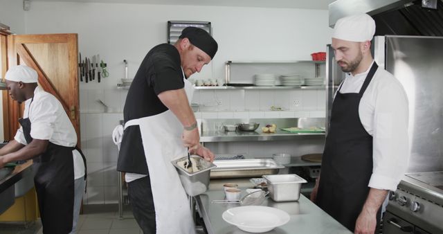 Professional Chefs Working in Restaurant Kitchen Preparing Gourmet Dishes - Download Free Stock Images Pikwizard.com