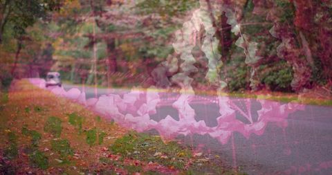 Serene autumn road with pink fractal overlay