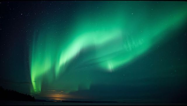 Aurora Borealis Illuminating Starry Night Over Lake and Silhouetted Trees
