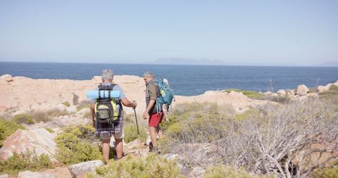 Senior Couple Hiking Overlooking Sea on Sunny Day
