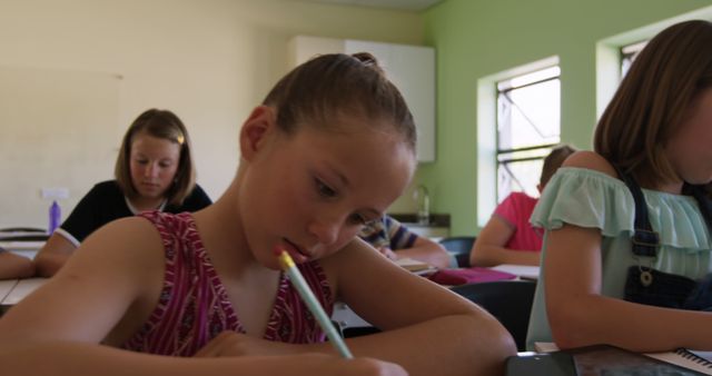 Young Students Concentrating on Classroom Work - Download Free Stock Images Pikwizard.com