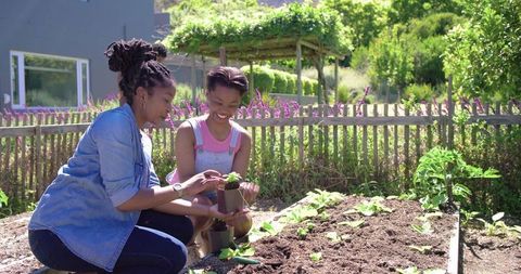 African american mother and daughter planting seedlings in backyard, teaching gardening