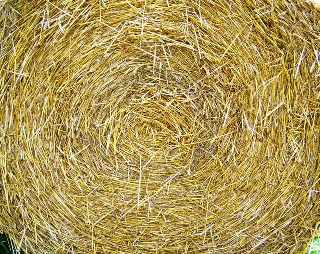 Compressed grain drying straw bale works - Download Free Stock Photos Pikwizard.com