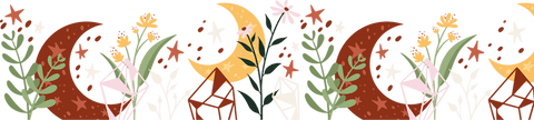 Celestial Botanical Border with Floral and Geometric Elements on Transparent Canvas - Download Free Stock Videos Pikwizard.com