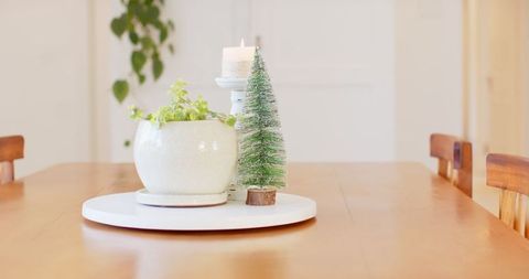 Minimalist Dining Table Decor with Succulent, Mini Tree, and Candle