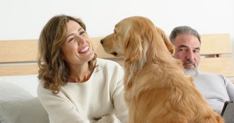Couple Relaxing on Bed with Golden Retriever, Woman Smiling at Dog, Cozy Home Moment