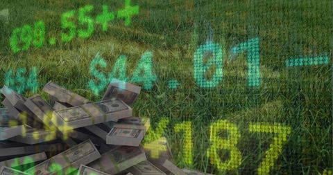 Stock market data blending with dollar bills on grass