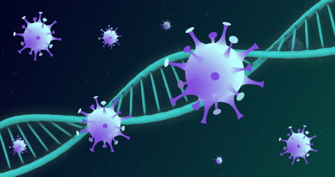 Covid-19 Virus Animation with Spinning DNA Strands