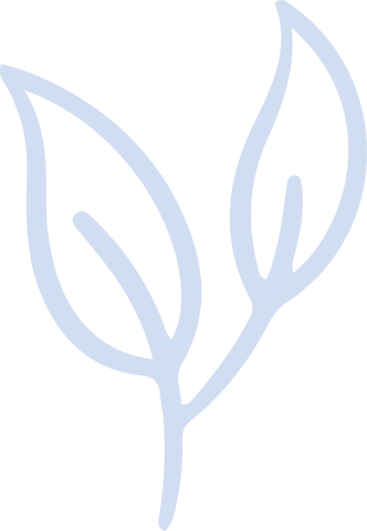 Minimalistic Stylized Sprout Icon with Transparent Background - Download Free Stock Videos Pikwizard.com