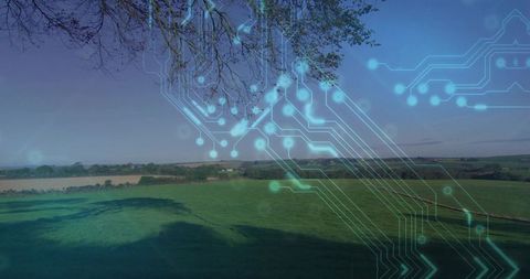 Digital Transformation on Farmland with Circuit Overlay