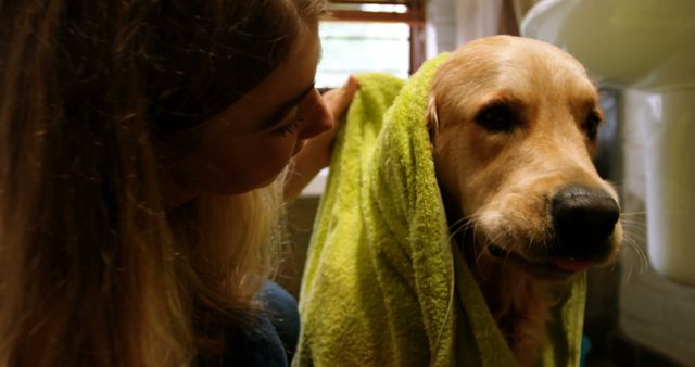 This depicts a woman drying her Golden Retriever with a green towel after giving it a bath. The moment reflects pet care, grooming, and the bond between pets and their owners. Ideal for promoting pet grooming services, products, or lifestyle blogs focused on pets and domestic life.