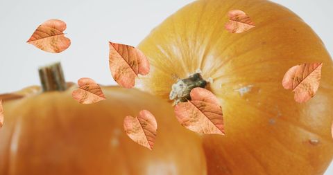 Autumn pumpkins with falling leaves holiday concept