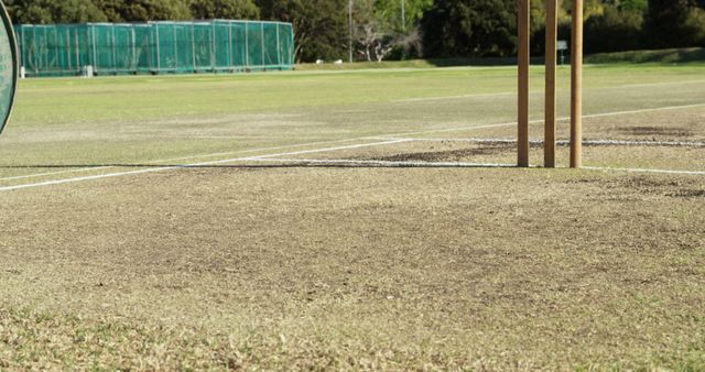 Cricket Pitch and Stumps on Sunny Day - Download Free Stock Images Pikwizard.com