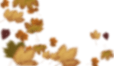 transparent blurred autumn maple leaves background - Download Free Stock Videos Pikwizard.com