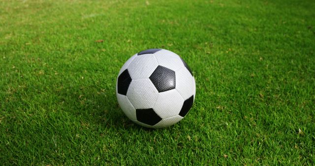 Soccer Ball on Vibrant Green Grass - Download Free Stock Images Pikwizard.com