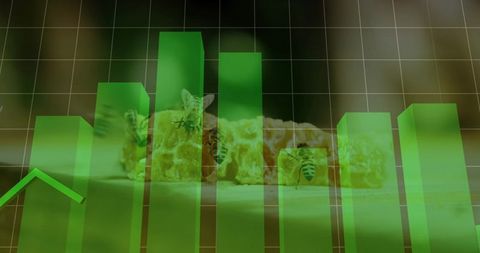 Overlaying translucent green 3D bar chart on honeycomb with bees showing growth analytics