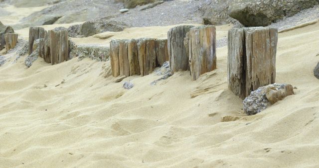 Old Wooden Groynes on Sandy Beach Shore - Download Free Stock Images Pikwizard.com