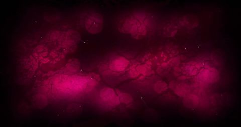 Abstract Pink Bokeh Texture on Black Background