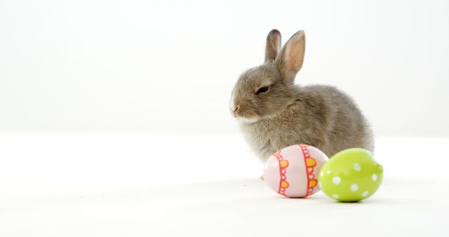 A small gray bunny sits next to colorful Easter eggs on a white background, with copy space. The image evokes the festive spirit of Easter and symbolizes springtime celebrations.