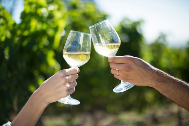 Cropped hands of couple toasting wineglasses at vineyard on sunny day