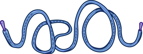 Playful blue rope formation with purple end caps transparent background
