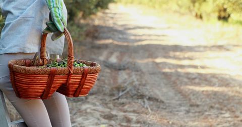 Farmer holding wicker basket of freshly harvested produce outdoors