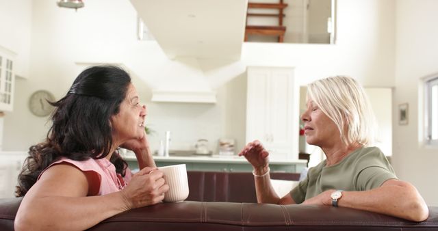 Two Mature Women Relaxing and Chatting in Living Room - Download Free Stock Images Pikwizard.com