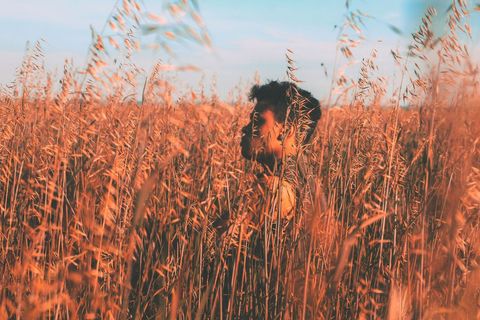 Man Standing in Tall Wheat Field at Sunset - Download Free Stock Images Pikwizard.com