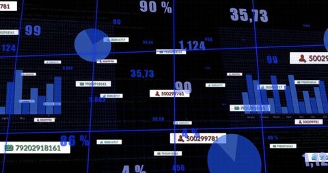 Financial analytics dashboard with charts and user insights