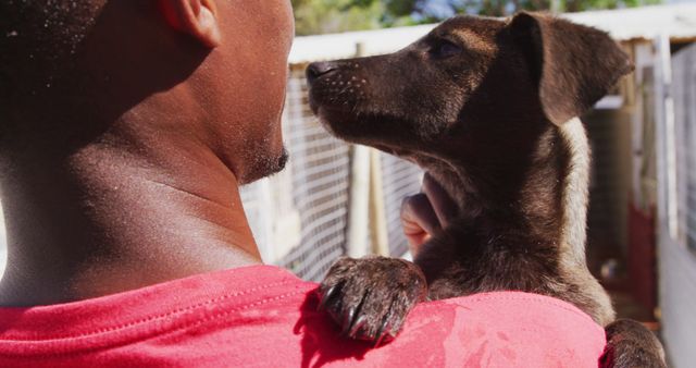 Back of african american man holding black dog in sunny dog shelter. Animals, support and temporary home, unaltered.