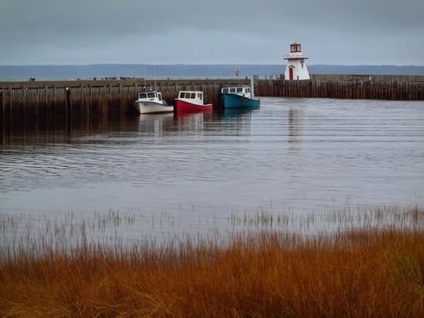 Peaceful harbor scene with colorful fishing boats and lighthouse