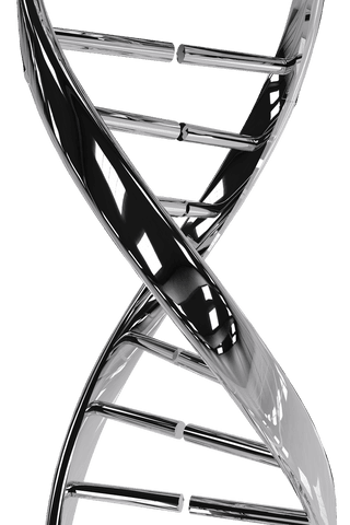 shiny silver dna strand on transparent background - Download Free Stock Videos Pikwizard.com