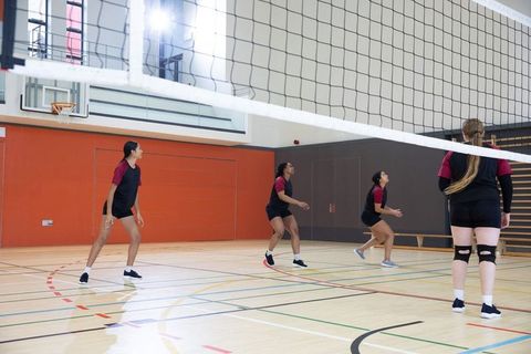 Diverse female volleyball team standing ready on indoor court preparing for serve