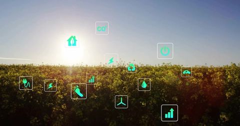 Renewable energy icons in rapeseed field at sunrise