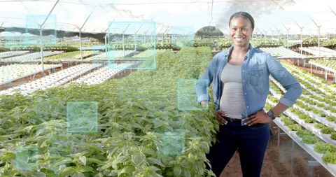 Smiling Woman in Greenhouse Posing Among Rows of Leafy Greens