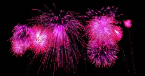 Vibrant pink fireworks against black sky