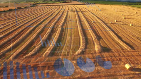 Agricultural Data Visualization in Golden Wheat Field