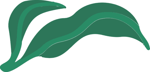 Flat design green leaves on transparent background