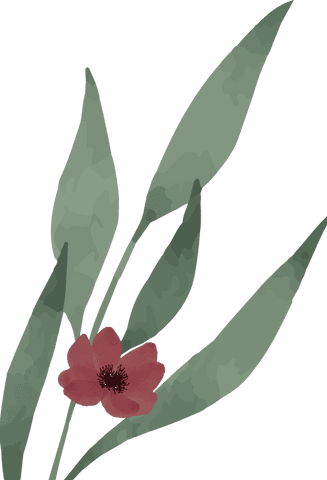 Transparent Plant with Green Leaves and Red Flower on Transparent Background