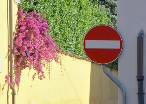 Bright Pink Bougainvillea Next to No Entry Sign