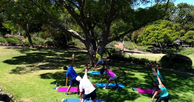 Outdoor Yoga Class on Sunny Day in Park - Download Free Stock Images Pikwizard.com