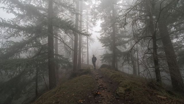 Walking lone hiker on fog-shrouded ridge trail through mossy conifer forest