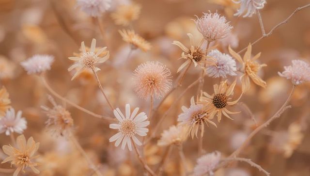 Pastel wildflower meadow with peach and cream daisies blooming and swaying in golden light