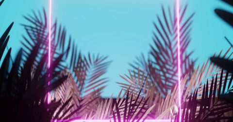 Tropical Palm Leaves Against Neon Pink and Blue Background