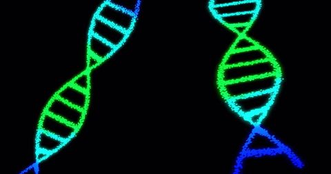 Colorful glowing dna strands illustrating genetic science on black background
