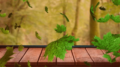 Falling Leaves on Wooden Surface in Autumn Forest