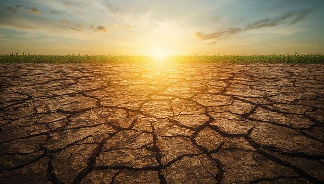 Cracked earth glowing under golden sunrise with grass horizon symbolizing drought crisis