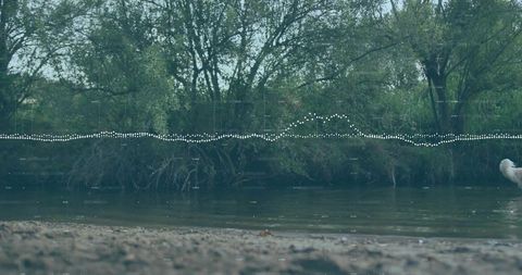 Flowing riverbank with dotted waveform overlay and dog tail on sandy shoreline