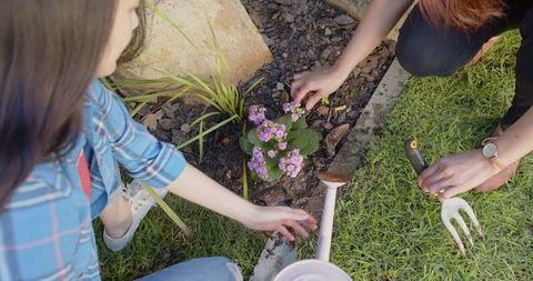 Mother and Daughter Gardening Together, Planting Flowers
